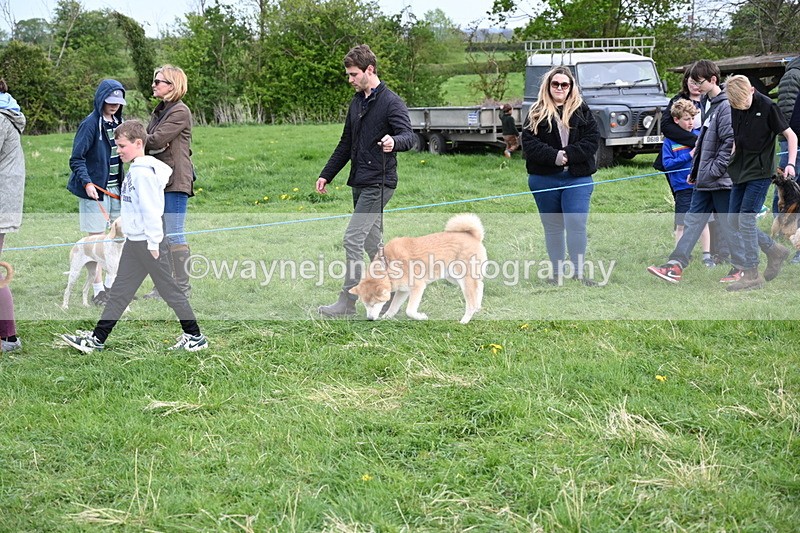 WJ6_8498 - Class 6 Best Rescue