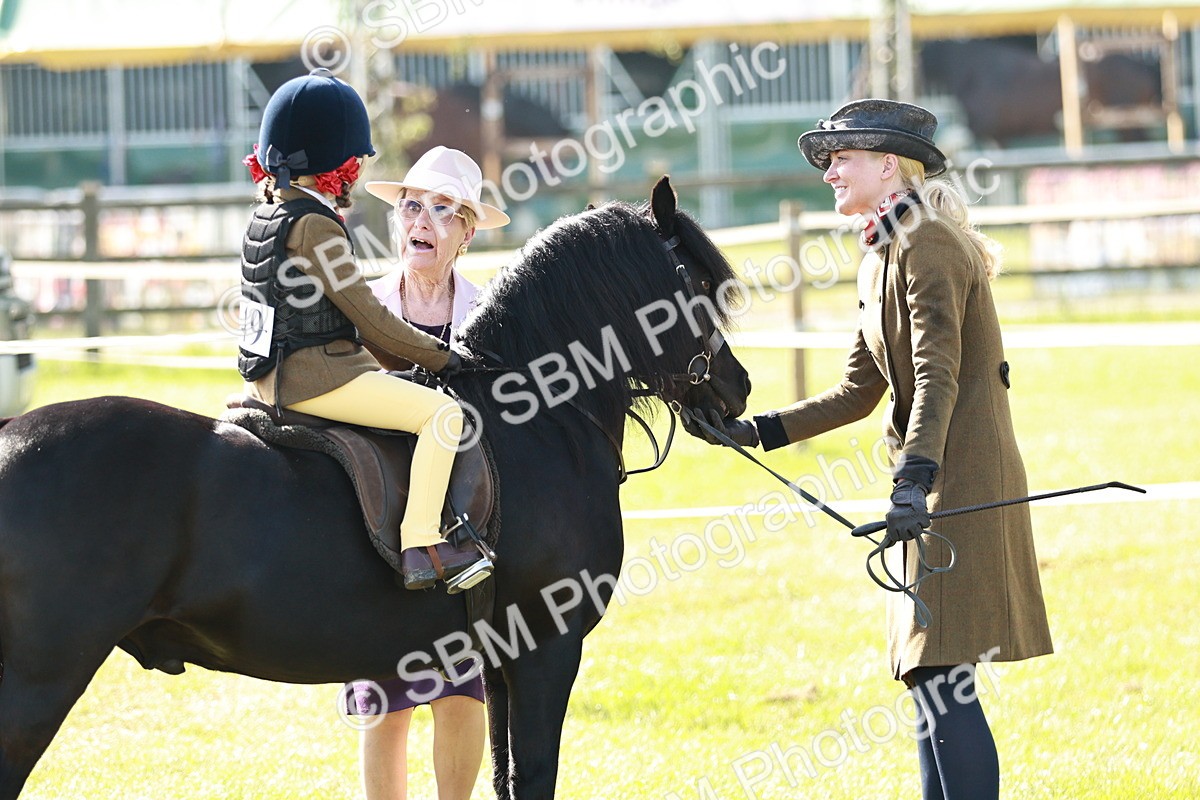 SBM_11267 - Class 106-107 - BSPS LIHS Working Sports Pony