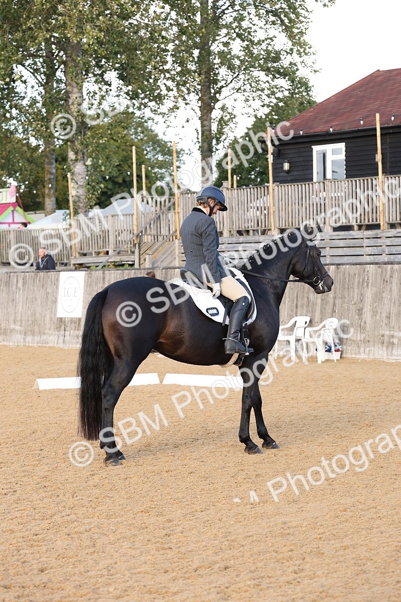 SBM_28274 - D20 - Grand Tour Championship Elementary 3