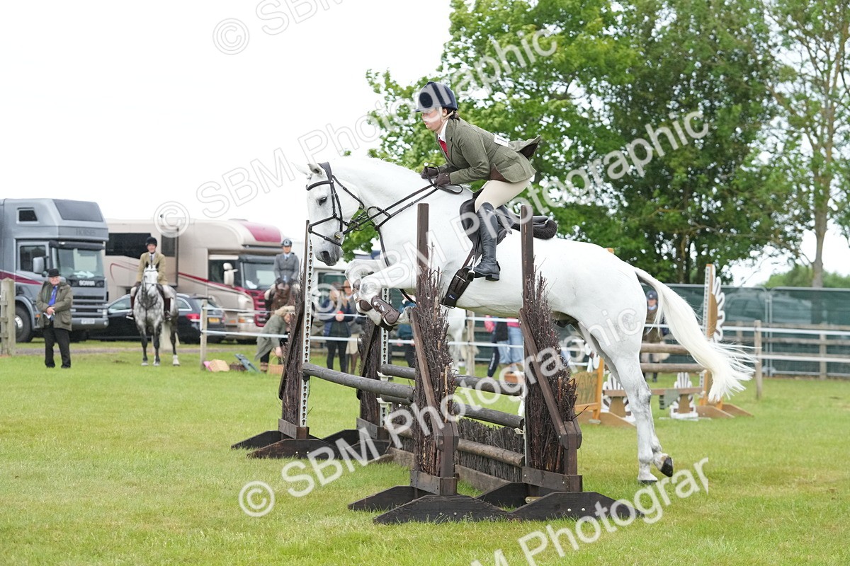 SBM_12591 - Class 97-98 - LIHS BSHA Rising Star Working Show Horse Hunter