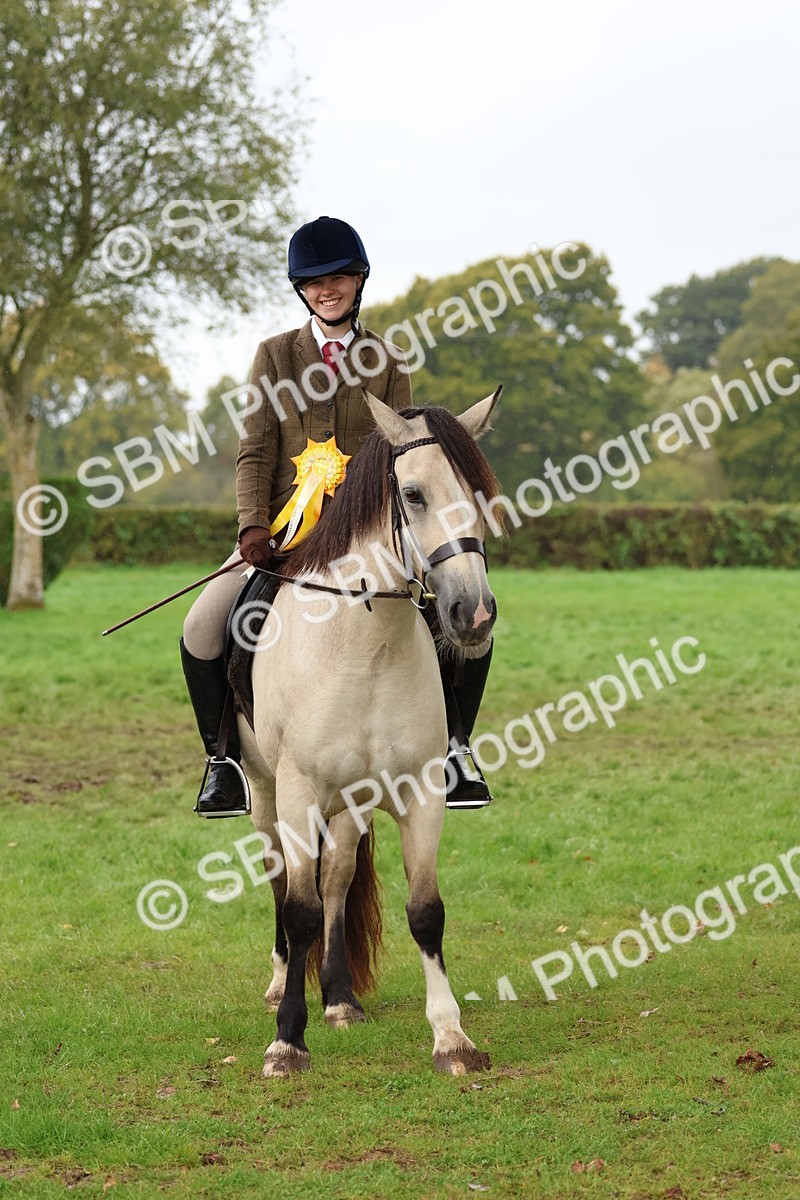 SBM_69754 - S62 - Mountain & Moorland Ridden Large Breeds