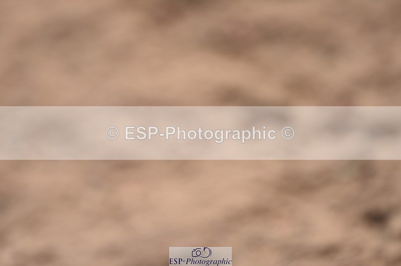 230810A-093534-00104 - Cls 8 British Novice & 90cm Open