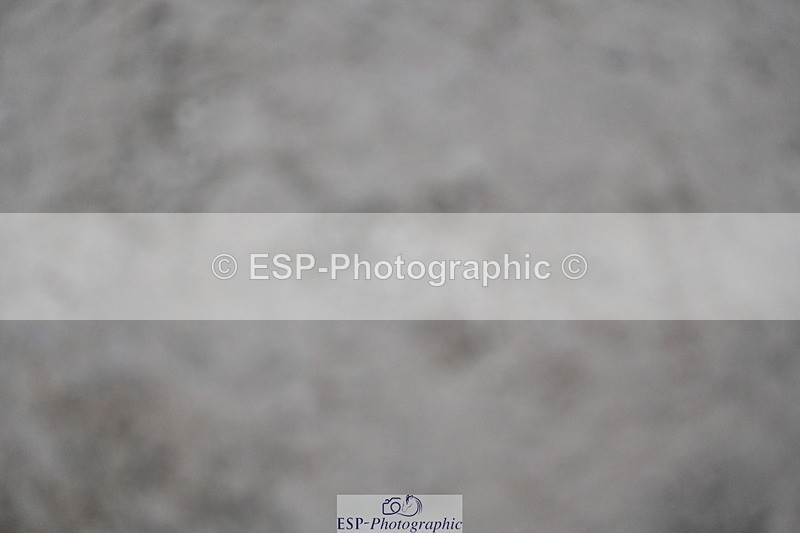 251026A-174952-27341 - 80 AND 90 PRESENTATIONS