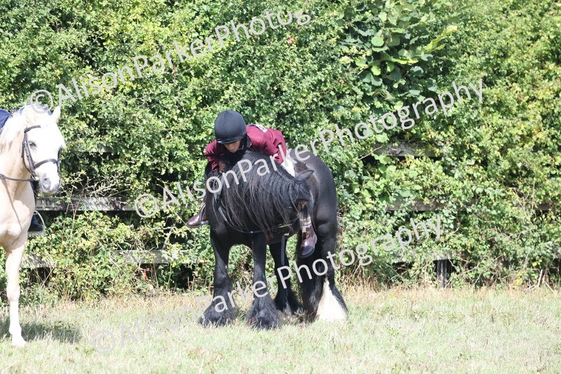 20250831-2521 - Class 16 - Family Pony