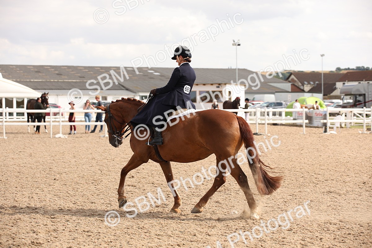 SBM_06753 - Class 24 Concours d'elegance