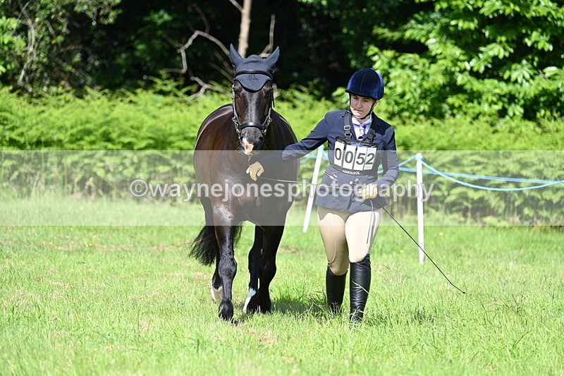 WJ7_1128 - Class 11 Condition & Turnout