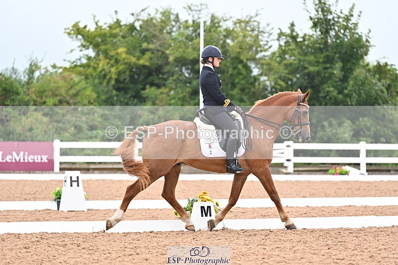 240815A-135853-01714 - 170-India.John-Grayswood.Orlando