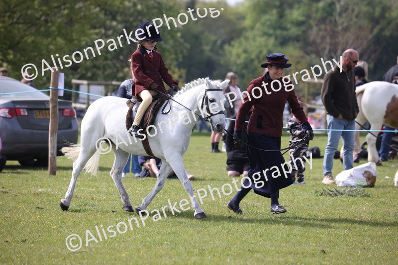 20260426-2560 - Class 31 - Leading Rein