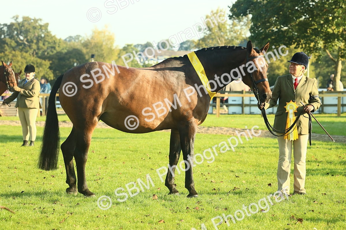 SBM_56752 - S36 - Starters Best Turnout