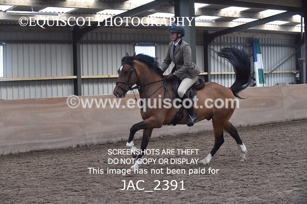 JAC_2391 - CLASS 3 Intermediate Working Hunter