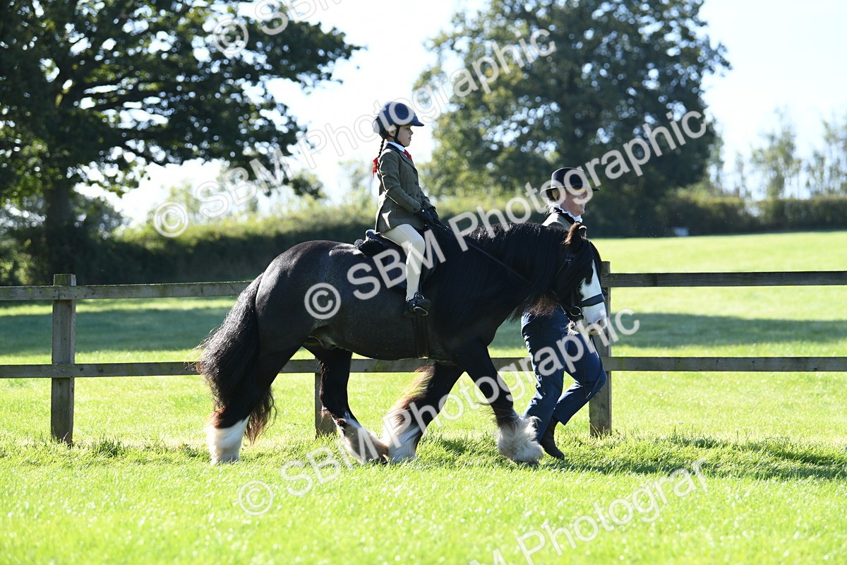 SBM_36723 - S18 - Novice & Newcomers Lead Rein Pony