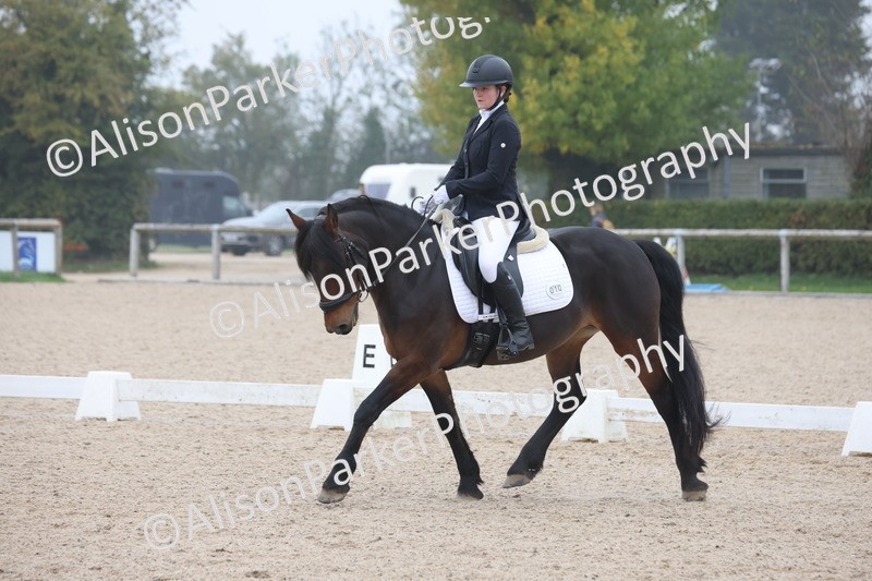 20251012-0428 - Class 3 - Novice 5