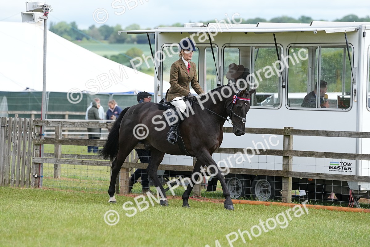 SBM_12912 - Class 99 - RIHS SEIB Working Show Horse