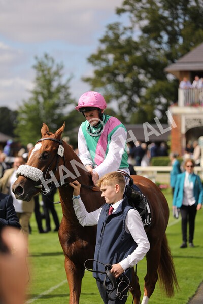 yr17082022r2-59 - Race 2 2.25pm Tattersalls Acomb Stakes