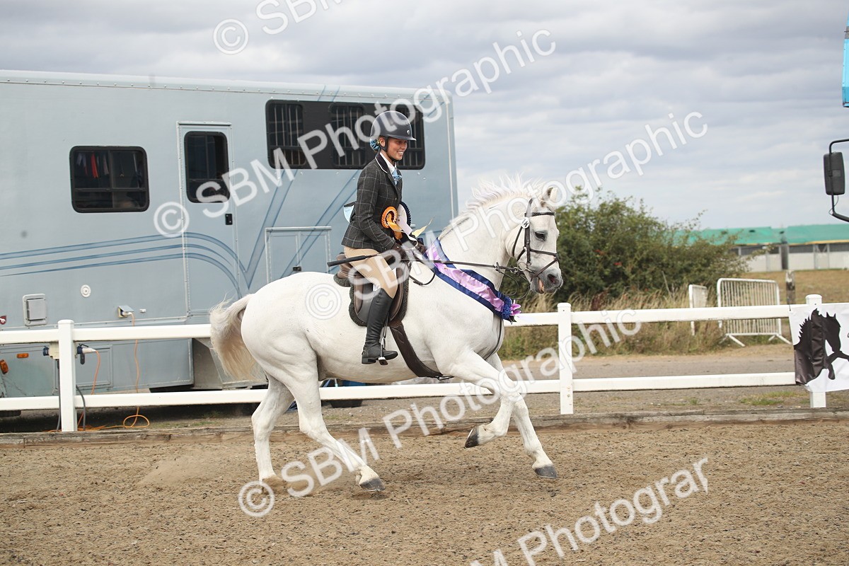 SBM_17805 - Class 508a - Working Veteran 70cm (15-19)