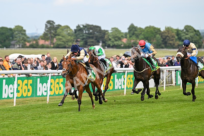 240525-Race 3-Old Is Gold-0880 - Race 3