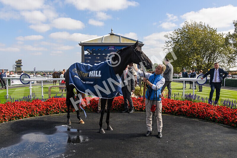 310824-Race 1-Quietness-2605 - Race 1