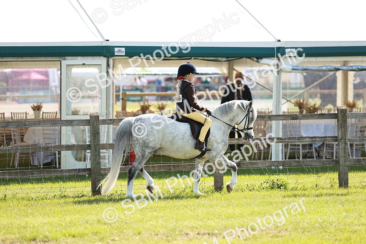 SBM_12573 - Class 106-107 - BSPS LIHS Working Sports Pony