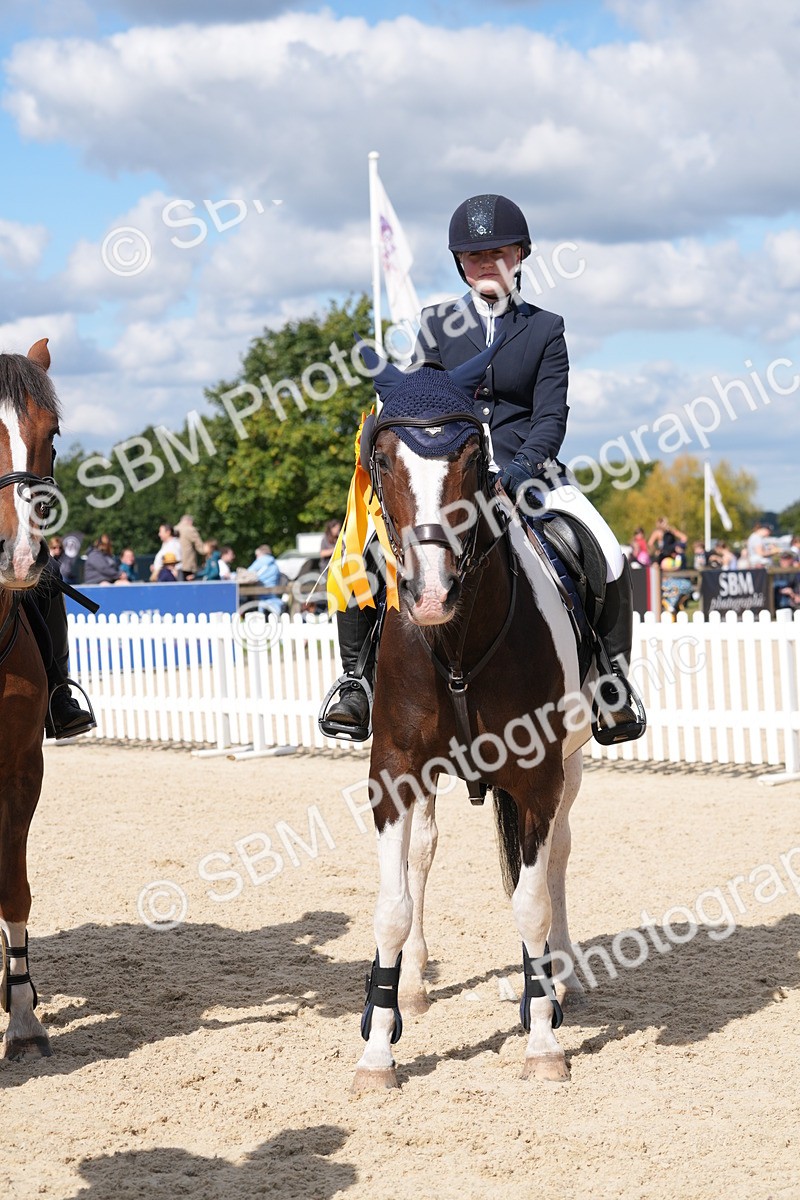 SBM_38922 - J21 - Junior Horse 60cm Championship