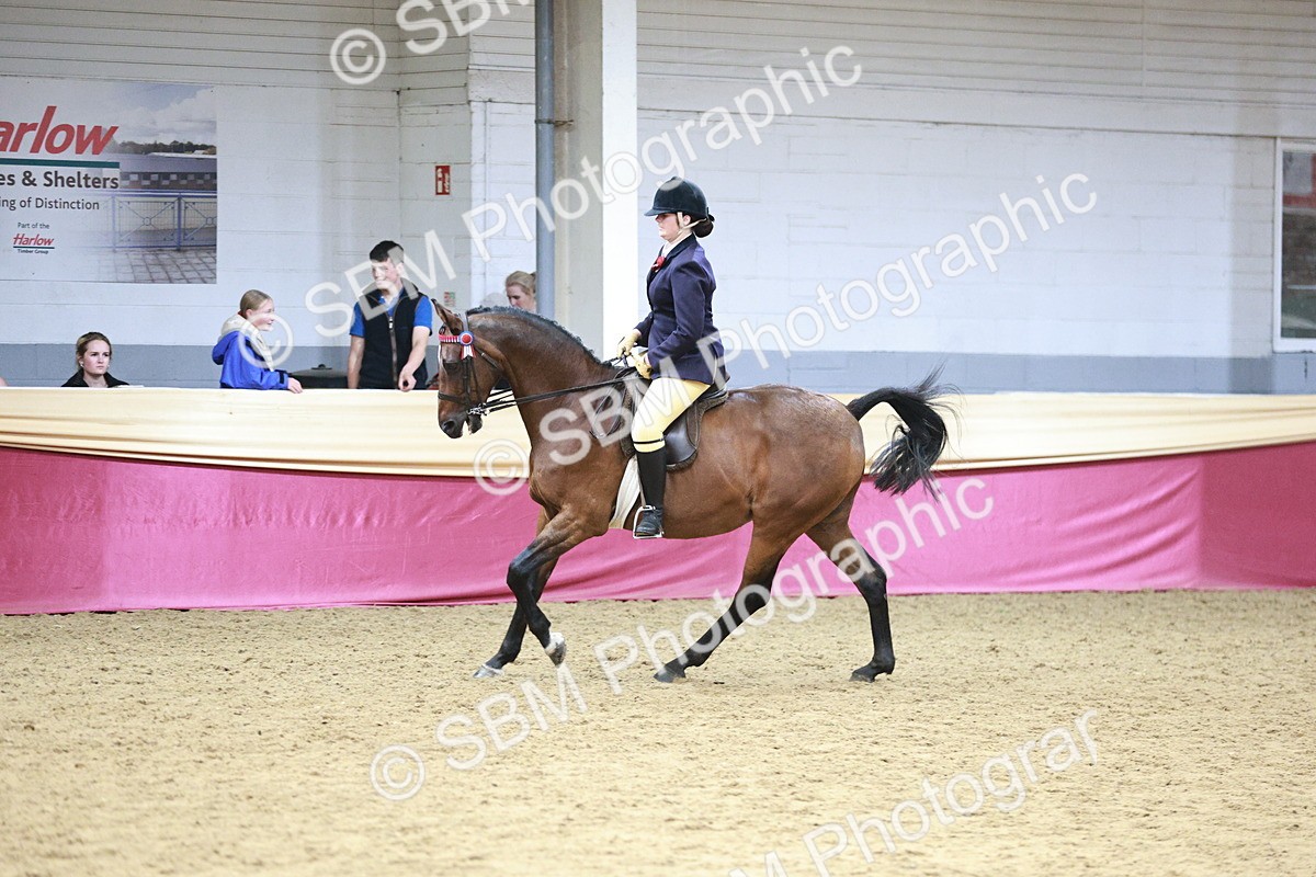 SBM_08269 - Class 11R - Regional Ridden Veteran