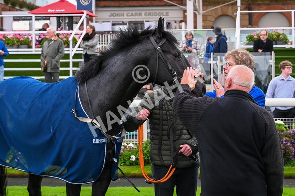 131023-Race 1-Pilgrim-7573 - Race 1 2.05pm William Hill EBF Novice Stakes