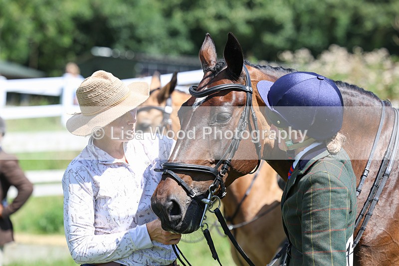 3E7A9022 - Class 6: Open Working Horse