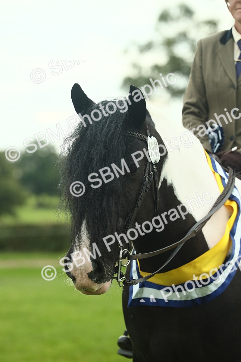 SBM_75209 - Super Supreme Championship