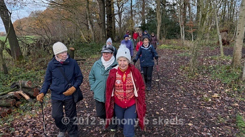 078 Beningbrough Woods with friends - York Minster Walkers Collection 2025