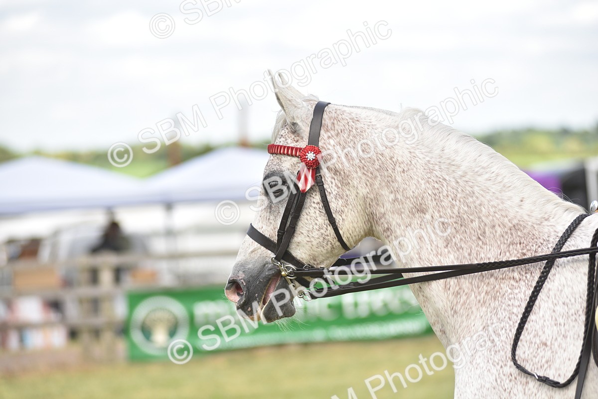 SBM_18163 - Class 122-123 - LIHS BHSA Raising Star Style and Performance Series