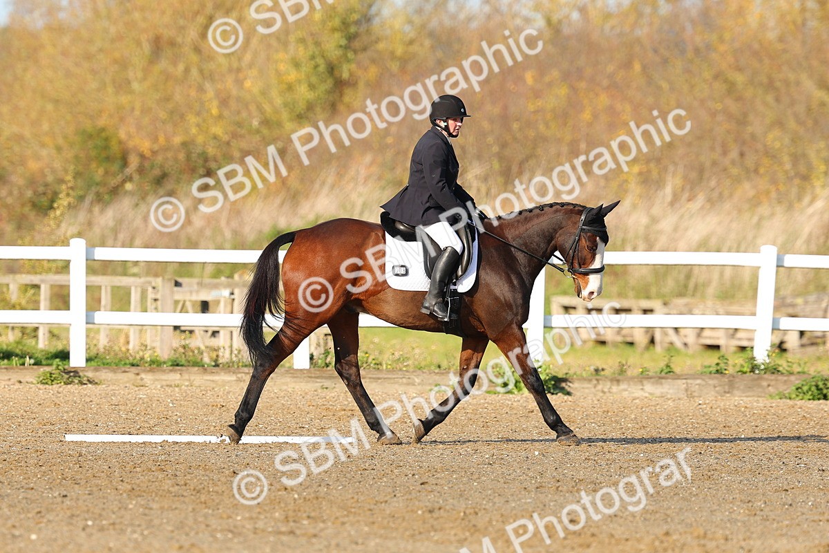 SBM_000538 - Novice 4