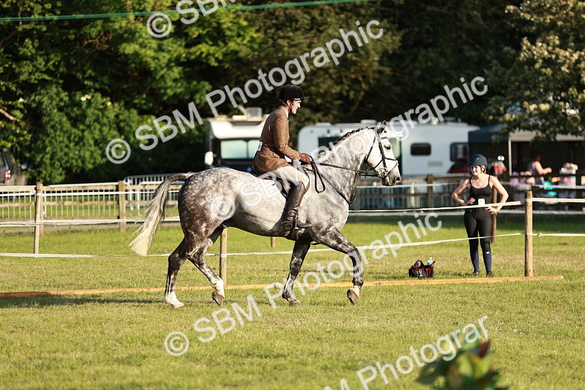 SBM_20433 - Class 117-119 - Sport Horse Working Hunter