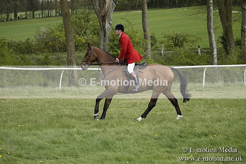 PtP 170417 134 - Old Berks Point-to-Point Lockinge 17/04/17
