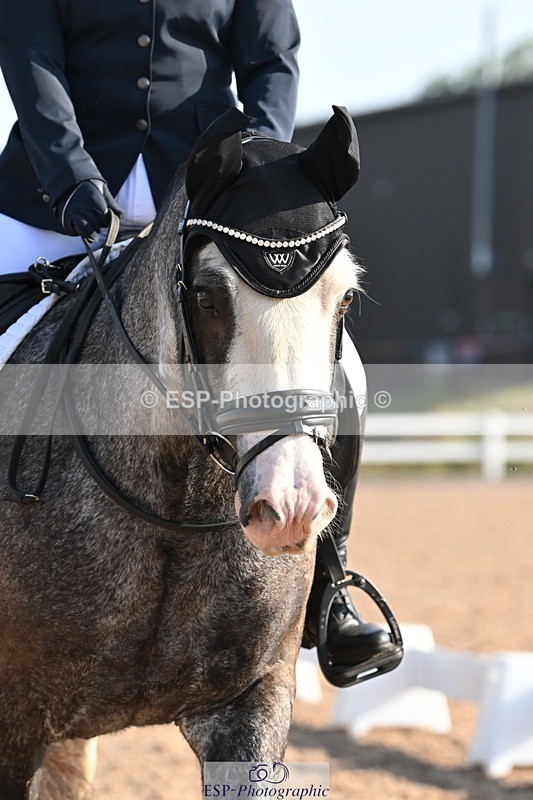 250816-090534-02831 - 055-Neve.HollowaySD.Out.of.the.Blue