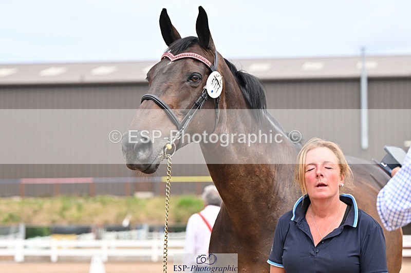 250716-153807-02069 - Trot Up 3.30 to 4.30