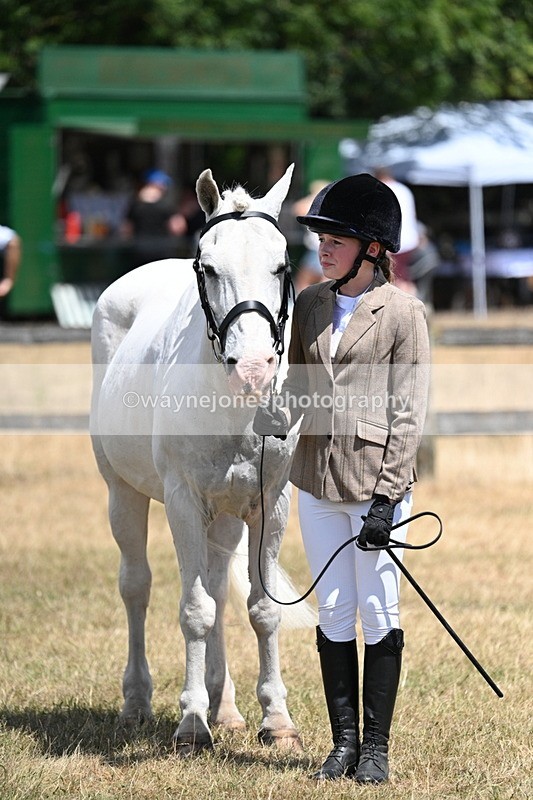 WJ7_2239 - Class 5 Most Handsome Gelding (up to 14.2hh) in hand