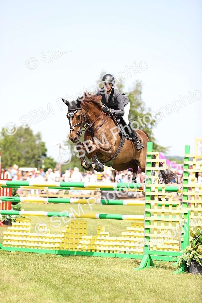 SBM_04008 - Class 201 - British Horse Feedds Speedi Beet HOYS Grade C