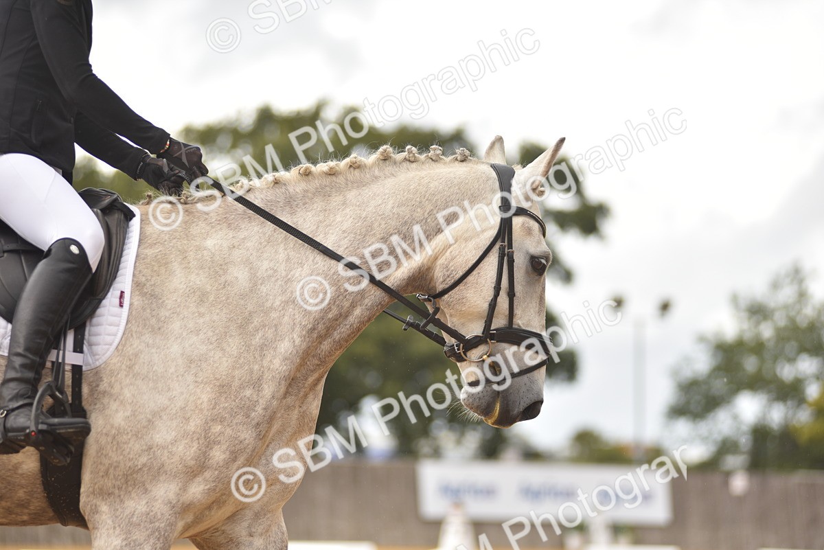 SBM_22318 - D13 - Grand Tour Championship Prelim 3