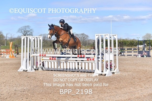 BPP_2198 - CLASS 22 SUN Senior BritiNovice/ 90cm Open