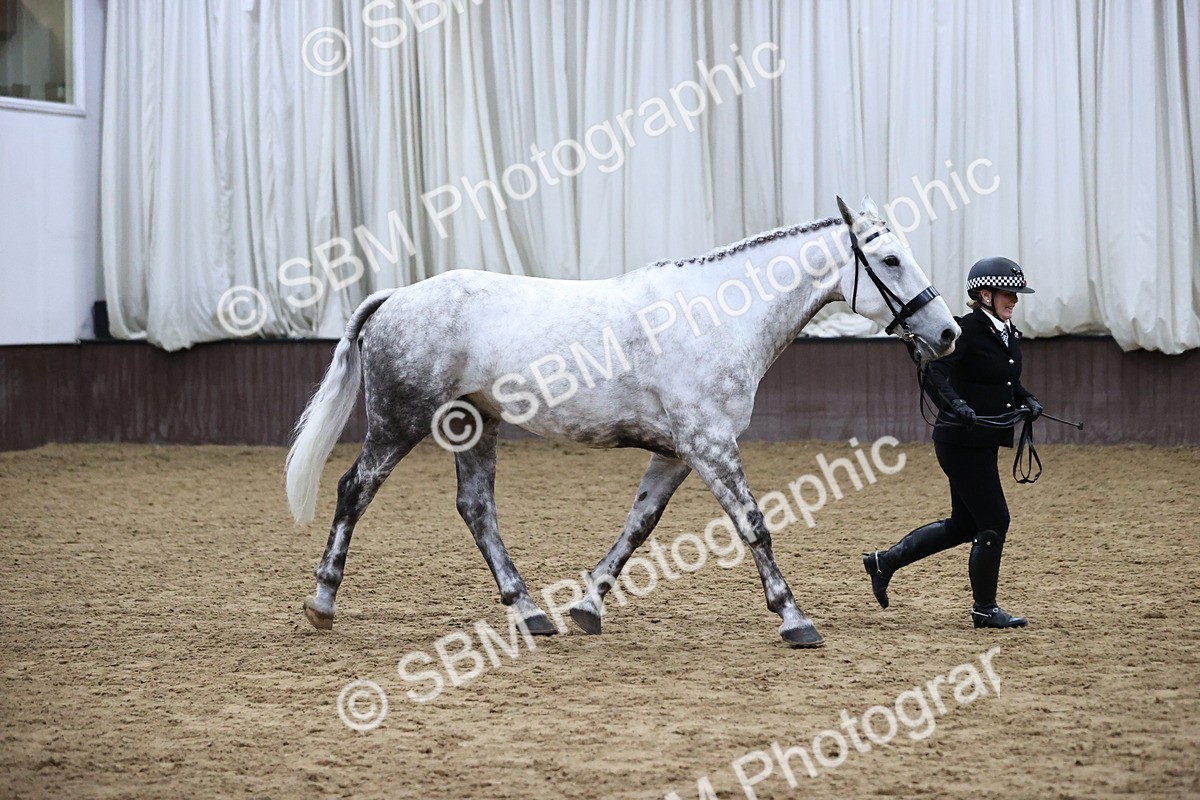 SBM_6311 - Class 17 - IDHSG Challenge Pure Breed
