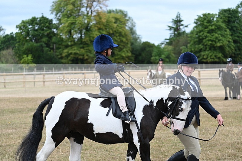 WJ7_6665 - Class 1 Lead Rein Pony