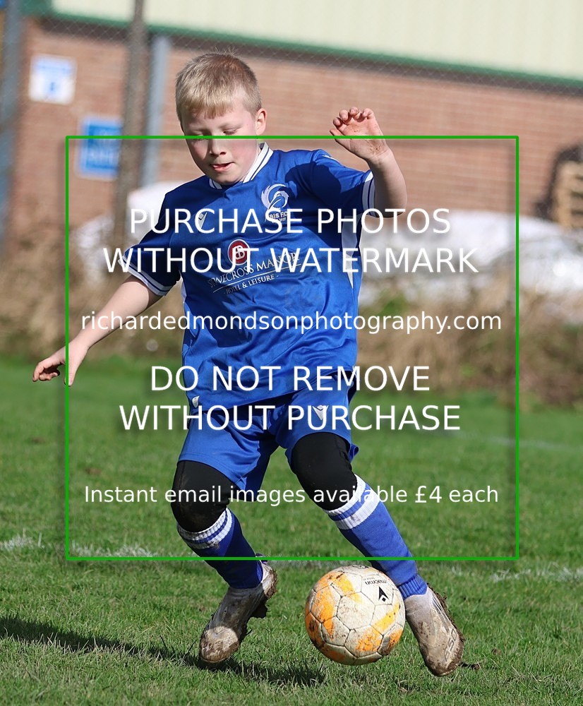 533A8203 - Ibis Under 8's (14/3/26)