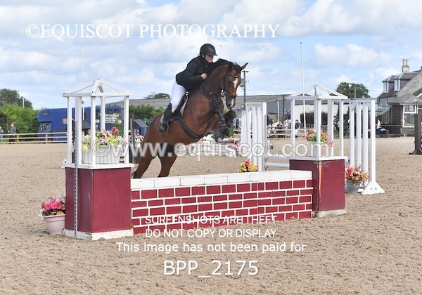 BPP_2175 - DERBY CLASS 6 - 70CM