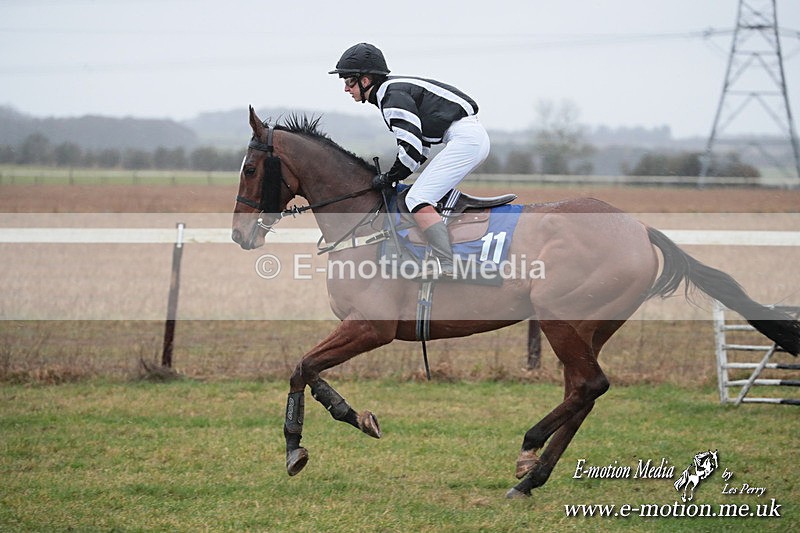 PtP 260125 219 - Cocklebarrow Point-to-Point racing with the Heythrop Hunt 26/01/25