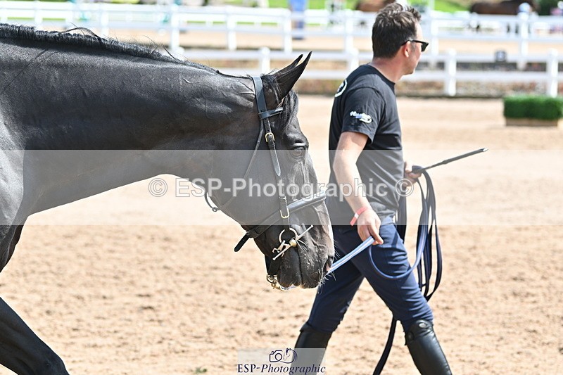 240717A-151324-02655 - Trot Up 3pm to 4pm