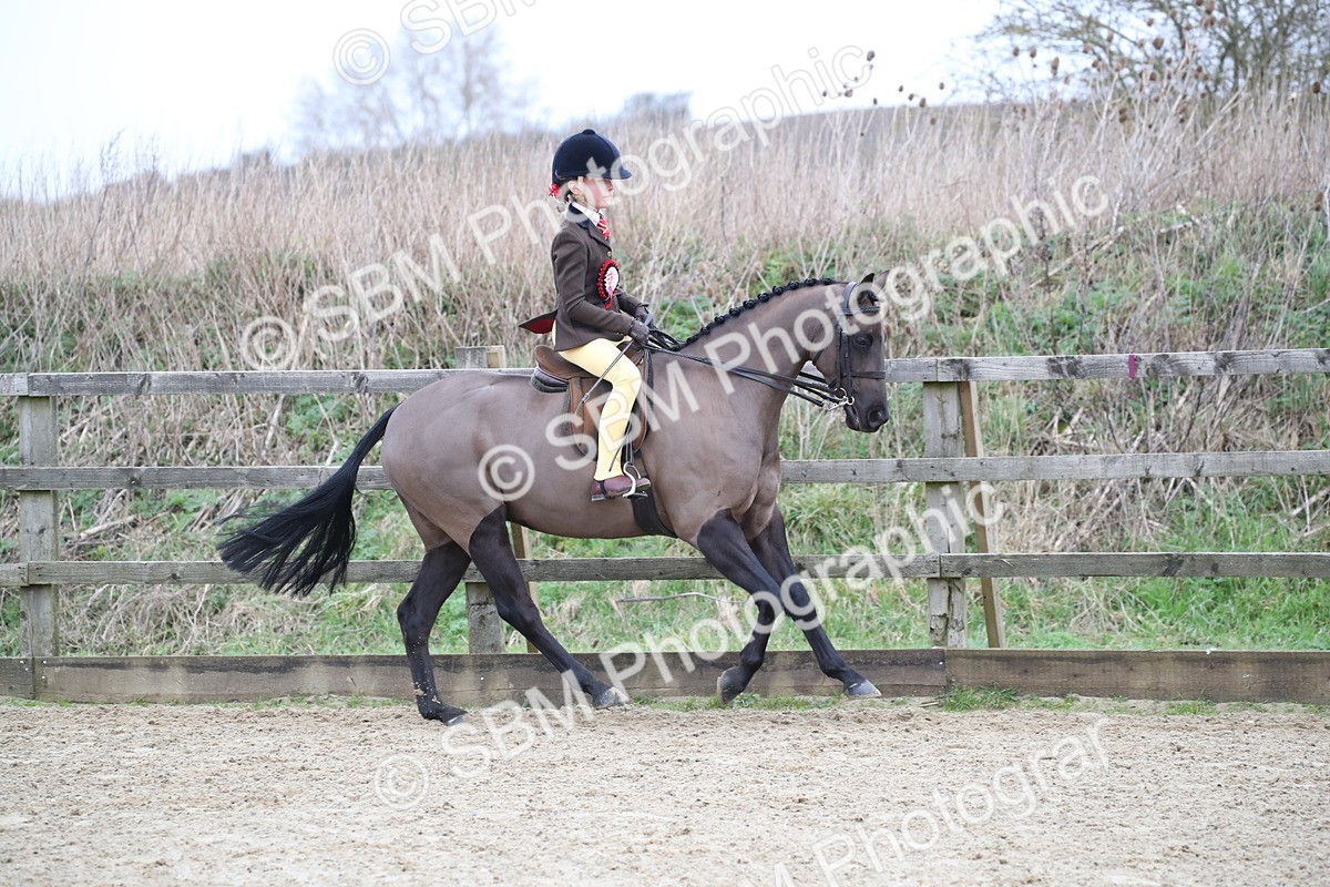 SBM_004797 - Class 5-9 - NPS In Hand-Show Hunter-Intermediate Ridden Inc Ridden Championship