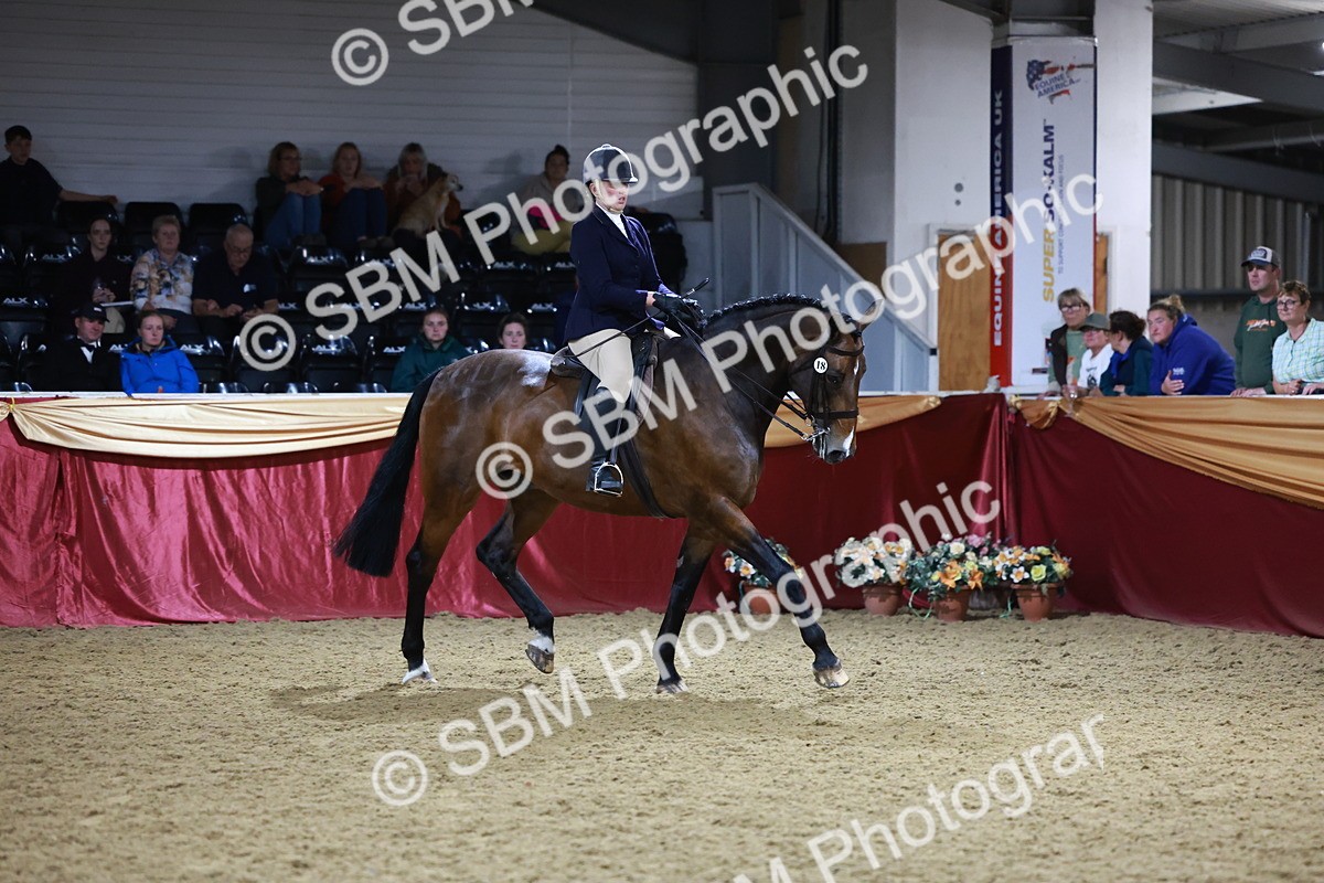 SBM_21154 - class Q - Ridden Horse Champ