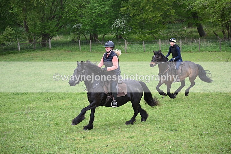 WJ6_2686 - A camera