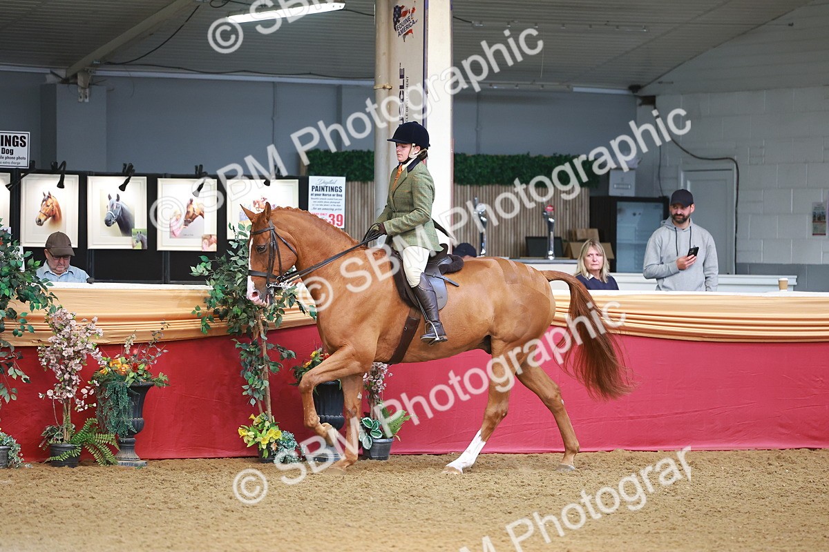 SBM_09703 - Class 102 - HOYS Veteran Qualifier - Ridden Veteran