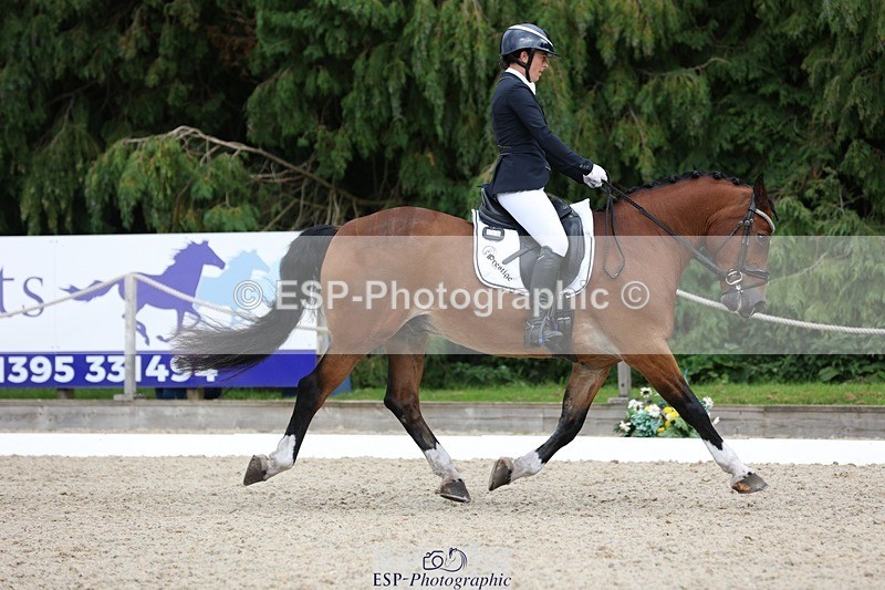 230812-150859-05063 - Cls 5 Novice Bronze 15.00 to End