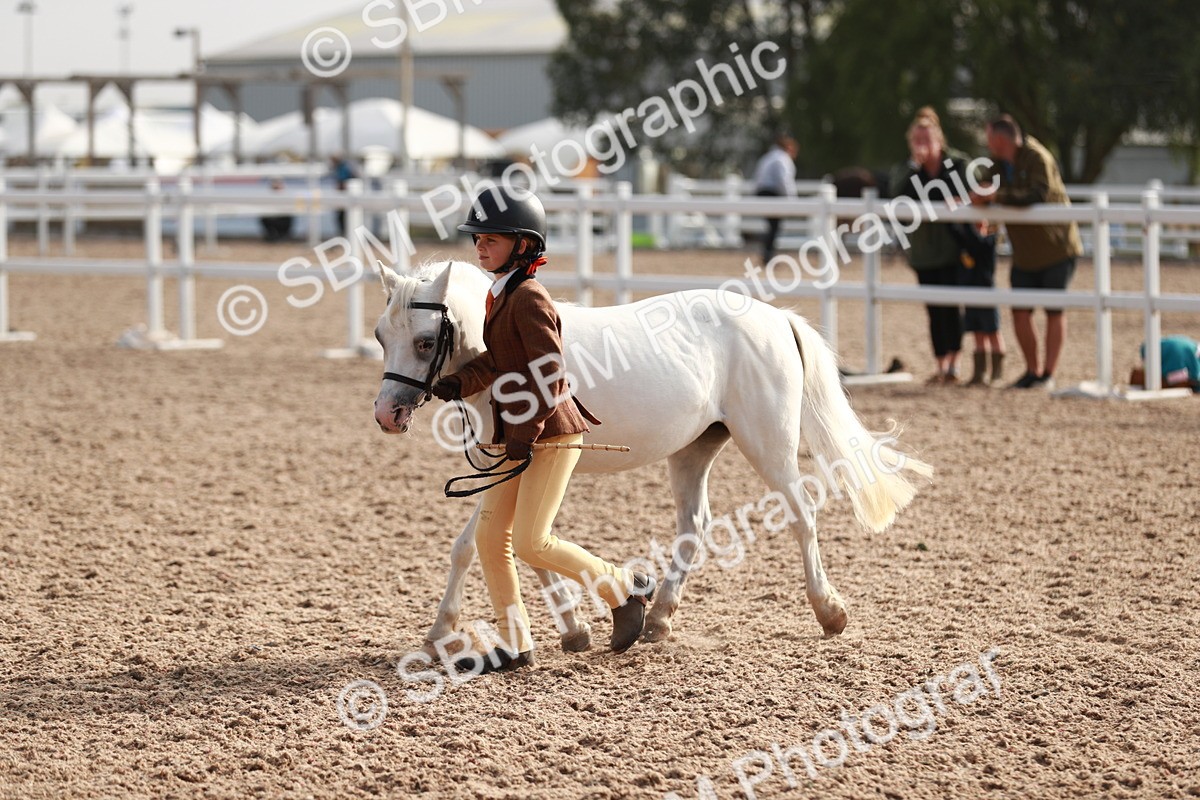 SBM_09906 - Class 203 Young Handler, 10 years and under
